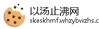 以汤止沸网